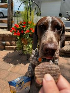 Large dog taking a Burgers In Heaven from someone's hand