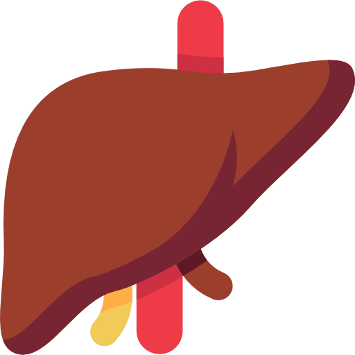 liver